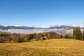 Farm cow grazing on alpine pasture meadow in summer mountains Royalty Free Stock Photo