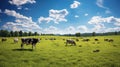 farm cow pasture Royalty Free Stock Photo