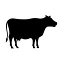 Farm cow vector icon
