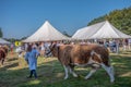 Agricultural show UK Royalty Free Stock Photo