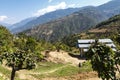 Farm with cows in the mountains in Bumthang, Eastern Bhutan Royalty Free Stock Photo