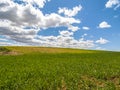 Farm, crop field. landscape with green grass. Spain agriculture.