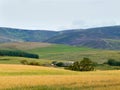 Farm and crops in Glen Clova Royalty Free Stock Photo