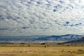 Farm with cumulus clouds, Montana Royalty Free Stock Photo