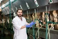 Dairymaid young man working with automatical cow milking machines