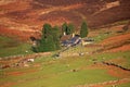 Farm on Dartmoor