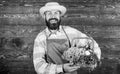 Farm delivery service deliver fresh vegetables. Fresh organic vegetables in wicker basket. Man bearded farmer presenting Royalty Free Stock Photo