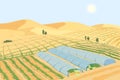 A farm in the desert. Growing vegetables in arid climates