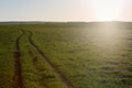 Farm dirt track leading across green pastures