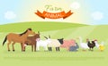 Farm domestic animals banner vector illustration. Collection of cute pet animal. Cartoon cow and horse, pig and goose Royalty Free Stock Photo