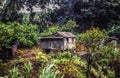 Farm on Dominica