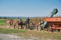 Farm with donkeys dragging the faring equipment