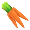 Farm eco carrots icon, cartoon style