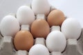 Farm eegs Royalty Free Stock Photo