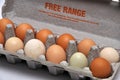 A dozen fresh farm eggs on a seamless background