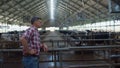 Farm employee controlling dairy production in cowshed looking livestock herd