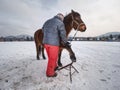Farm employee hold horse at paddock for hooves check
