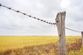 Farm Fence Line