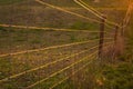 The farm fencing to keep the cattle in the paddock