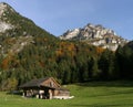 Farm Field in The Alps Royalty Free Stock Photo