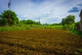 Farm field already fertilized and ready to cultivate with bushes around and beautiful sky as background photo taken in Royalty Free Stock Photo