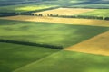 Farm Field cultivated Royalty Free Stock Photo