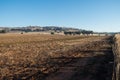 Farm field in Dookie, in the Goulburn Valley, Australia