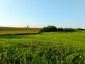 Farm field evening