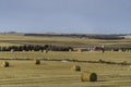 A Farm field in fall with bales of hay after the harvest Royalty Free Stock Photo