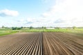 Farm field is half prepared for planting. Marking the field in rows. Agricultural technology and standardization. Organization and