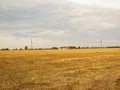 Farm field after harvest in the fall