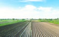 Farm field is planted with agricultural plants. Watering the crop. Agro industry, agribusiness. Farming, european farmland.