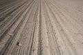 Farm field prepared for planting with footsteps