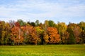 Farm Field with sunning fall color trees Royalty Free Stock Photo