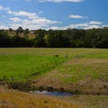 Farm fields