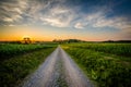 Farm fields along a dirt road at sunset, near Jefferson in rural Royalty Free Stock Photo