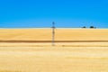 Farm fields with golden wheat ears Royalty Free Stock Photo