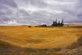 The farm in fields of Montana Royalty Free Stock Photo