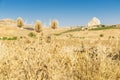 Farm fields near Corleone in Sicily, Italy Royalty Free Stock Photo