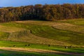 Farm fields and rolling hills of Southern York County, Pennsylvania. Royalty Free Stock Photo