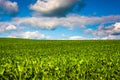 Farm fields in rural Baltimore County, Maryland. Royalty Free Stock Photo