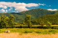 Farm fields and view of the Appalachians in the Shenandoah Valley, Virginia.