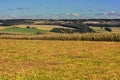 Farm Fields Royalty Free Stock Photo