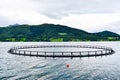Farm fish cage for salmon growing in natural sea environment of fjord. Alesund, Nirway Royalty Free Stock Photo