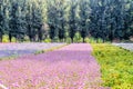 Farm with flower lawns Royalty Free Stock Photo