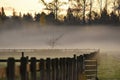 Farm in the fog