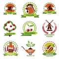 Farm food, agriculture icons