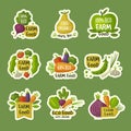 Farm food logo. Eco products badges green organic fruits and vegetables stylized symbols recent vector healthy food Royalty Free Stock Photo