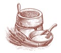 Farm food sketch vector illustration. Wheat ears, flour, millstones. Processing cereal seeds into flour for cooking