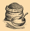 Sack or burlap bag, wholemeal bread flour, barley grains, wooden scoop and ears of wheat. Farm food vintage sketch